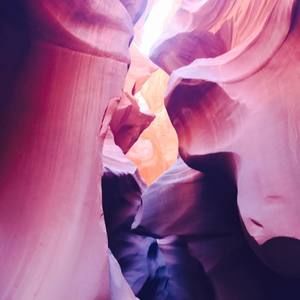 Meet your Posher, Chien